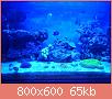         

:  uploadfromtaptalk1395255388674.jpg
:  188
:  65,1 KB
