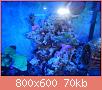        

:  uploadfromtaptalk1395255446011.jpg
:  180
:  70,0 KB