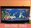         

:  IMG_0861.jpg
:  809
:  59,6 KB