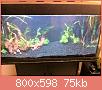         

:  IMG_0869.jpg
:  487
:  74,9 KB