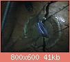         

:  10009559_10201611604558587_311525346_n.jpg
:  289
:  41,3 KB
