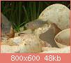        

:  uploadfromtaptalk1395496553270.jpg
:  183
:  47,7 KB
