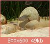         

:  uploadfromtaptalk1395496576193.jpg
:  185
:  48,9 KB