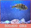        

:  2014-03-26 15.24.52.jpg
:  435
:  68,0 KB