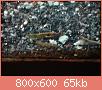         

:  DSC01436.jpg
:  414
:  65,0 KB