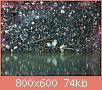         

:  DSC01437.jpg
:  422
:  73,6 KB