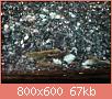         

:  DSC01438.jpg
:  365
:  67,1 KB