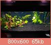         

:  DSC01471.jpg
:  1397
:  65,0 KB