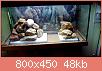         

:  uploadfromtaptalk1397406801263.jpg
:  330
:  47,5 KB