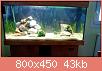         

:  uploadfromtaptalk1397653250341.jpg
:  396
:  42,9 KB
