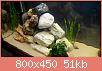         

:  uploadfromtaptalk1397653264455.jpg
:  355
:  50,6 KB