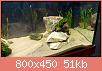         

:  uploadfromtaptalk1397653278999.jpg
:  375
:  51,0 KB