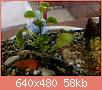         

:  uploadfromtaptalk1398165401366.jpg
:  940
:  58,4 KB