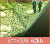         

:  ImageUploadedByTapatalk1399051274.812290.jpg
:  467
:  62,4 KB