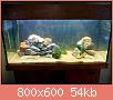         

:  uploadfromtaptalk1399330368541.jpg
:  294
:  54,0 KB