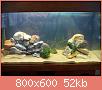         

:  uploadfromtaptalk1399330388981.jpg
:  263
:  52,1 KB