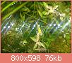         

:  ImageUploadedByTapatalk1399644302.930884.jpg
:  267
:  76,2 KB