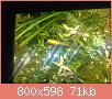         

:  ImageUploadedByTapatalk1399644422.158200.jpg
:  261
:  71,1 KB