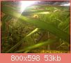         

:  ImageUploadedByTapatalk1399644445.092519.jpg
:  271
:  53,2 KB