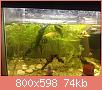         

:  ImageUploadedByTapatalk1399645179.476142.jpg
:  330
:  74,2 KB