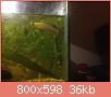         

:  ImageUploadedByTapatalk1399645327.528645.jpg
:  262
:  36,4 KB