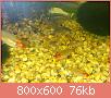         

:  DSC_0045.jpg
:  446
:  76,2 KB