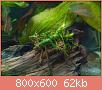         

:  uploadfromtaptalk1402080173020.jpg
:  514
:  62,4 KB
