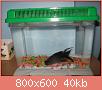         

:  IMG_0910.jpg
:  3550
:  39,7 KB