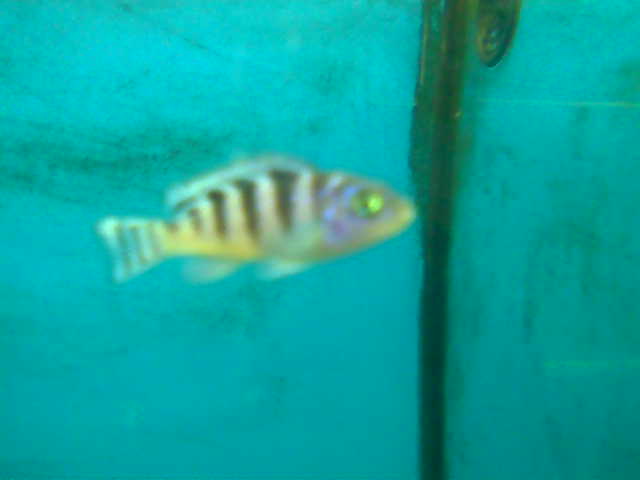 Name:  017.jpg
Views: 590
Size:  15,3 KB