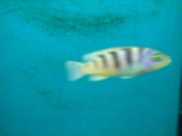 Name:  022.jpg
Views: 575
Size:  12,9 KB