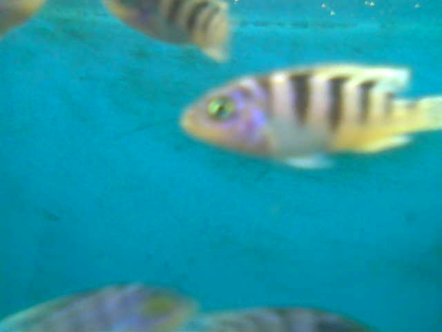 Name:  023.jpg
Views: 498
Size:  14,8 KB