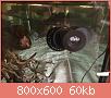         

:  ImageUploadedByTapatalk1404792091.579095.jpg
:  1385
:  60,2 KB