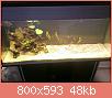         

:  uploadfromtaptalk1405624940588.jpg
:  225
:  48,2 KB