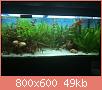         

:  ImageUploadedByTapatalk1406142958.227935.jpg
:  556
:  49,2 KB