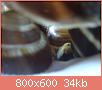        

:  20140708_234317.jpg
:  529
:  33,7 KB