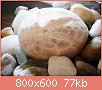         

:  SDC10634 (1).jpg
:  259
:  76,5 KB