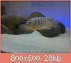         

:  2014-09-06 10.07.47.jpg
:  268
:  28,4 KB