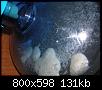         

:  diy co2 9.JPG
:  635
:  130,9 KB