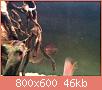         

:  ImageUploadedByTapatalk1411498109.063338.jpg
:  387
:  45,9 KB