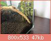         

:  DSC00301.jpg
:  218
:  46,7 KB