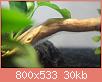         

:  DSC00300.jpg
:  202
:  30,1 KB