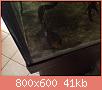         

:  ImageUploadedByTapatalk1411796955.750563.jpg
:  288
:  40,6 KB