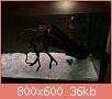         

:  ImageUploadedByTapatalk1412540282.728417.jpg
:  261
:  36,4 KB