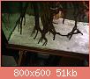         

:  ImageUploadedByTapatalk1412540435.057362.jpg
:  264
:  51,3 KB