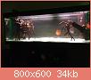         

:  ImageUploadedByTapatalk1412617225.784223.jpg
:  267
:  33,6 KB
