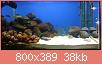         

:  5_07-10-14.jpg
:  471
:  37,7 KB