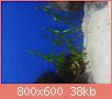        

:  1412700879612.jpg
:  481
:  38,2 KB