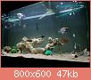         

:  20141019_205013.jpg
:  474
:  46,8 KB