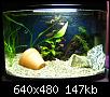         

:  DSC03756.JPG
:  378
:  147,2 KB