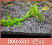         

:  SAM_0640.jpg
:  273
:  65,0 KB